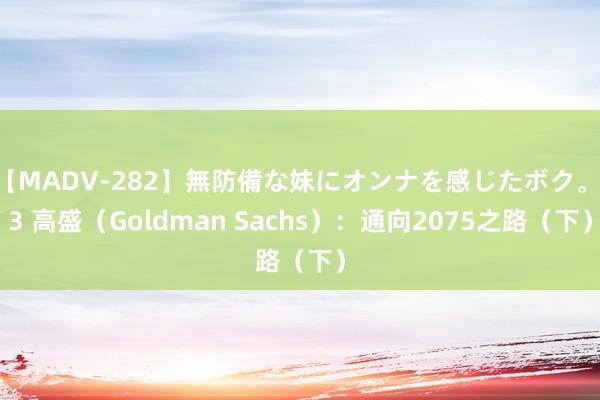 【MADV-282】無防備な妹にオンナを感じたボク。 3 高盛（Goldman Sachs）：通向2075之路（下）