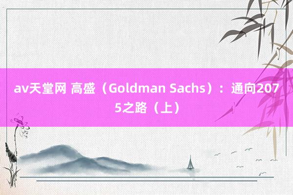 av天堂网 高盛（Goldman Sachs）：通向2075之路（上）