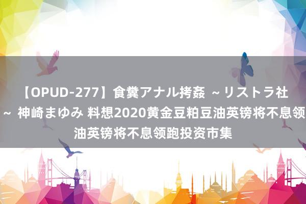 【OPUD-277】食糞アナル拷姦 ～リストラ社員の糞拷問～ 神崎まゆみ 料想2020黄金豆粕豆油英镑将不息领跑投资市集