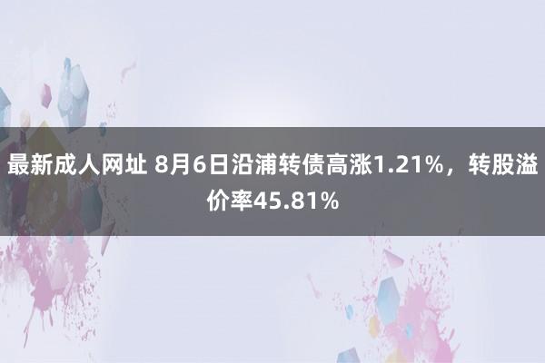 最新成人网址 8月6日沿浦转债高涨1.21%，转股溢价率45.81%