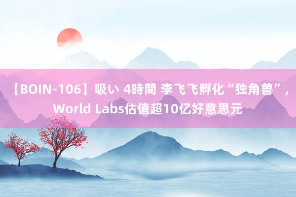 【BOIN-106】吸い 4時間 李飞飞孵化“独角兽”，World Labs估值超10亿好意思元