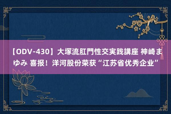 【ODV-430】大塚流肛門性交実践講座 神崎まゆみ 喜报！洋河股份荣获“江苏省优秀企业”