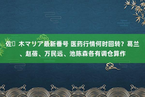 佐々木マリア最新番号 医药行情何时回转？葛兰、赵蓓、万民远、池陈森各有调仓算作