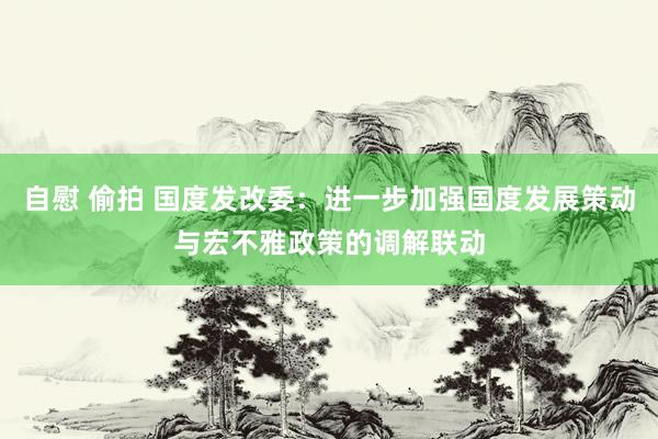 自慰 偷拍 国度发改委：进一步加强国度发展策动与宏不雅政策的调解联动