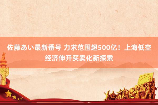 佐藤あい最新番号 力求范围超500亿！上海低空经济伸开买卖化新探索