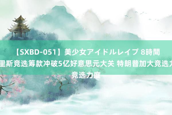 【SXBD-051】美少女アイドルレイプ 8時間 哈里斯竞选筹款冲破5亿好意思元大关 特朗普加大竞选力度