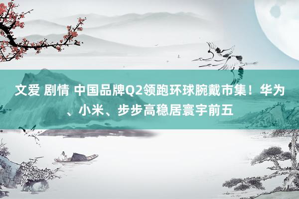 文爱 剧情 中国品牌Q2领跑环球腕戴市集！华为、小米、步步高稳居寰宇前五