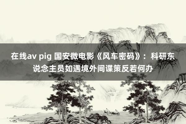 在线av pig 国安微电影《风车密码》：科研东说念主员如遇境外间谍策反若何办