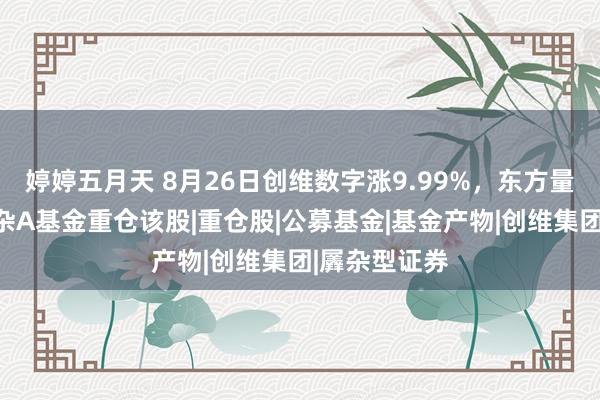 婷婷五月天 8月26日创维数字涨9.99%，东方量化多计谋羼杂A基金重仓该股|重仓股|公募基金|基金产物|创维集团|羼杂型证券